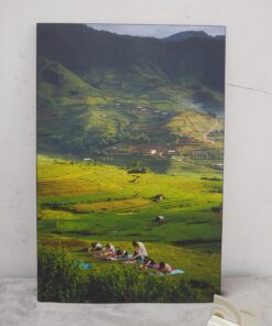 ảnh triển lãm cơ lớn