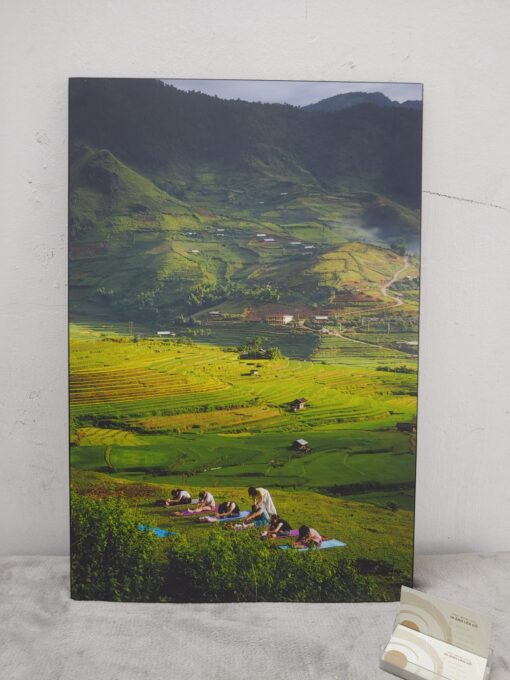 ảnh triển lãm cơ lớn