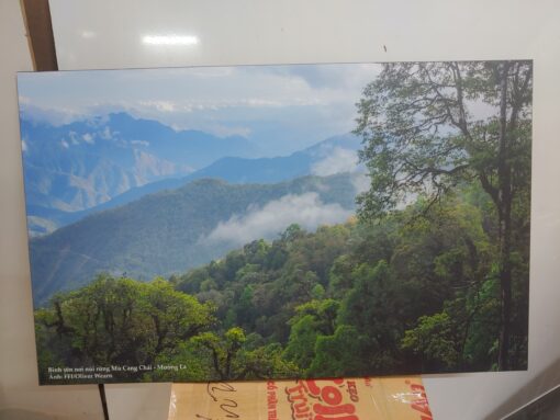ảnh triển lãm cơ lớn